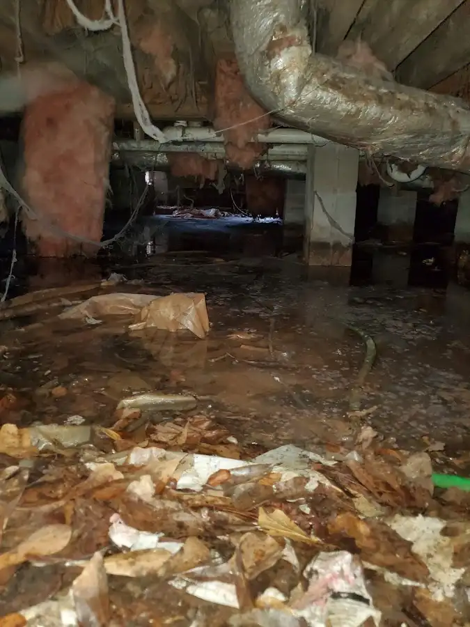 Crawl space flood assessment for Leak Detection & Repair in Little Chute