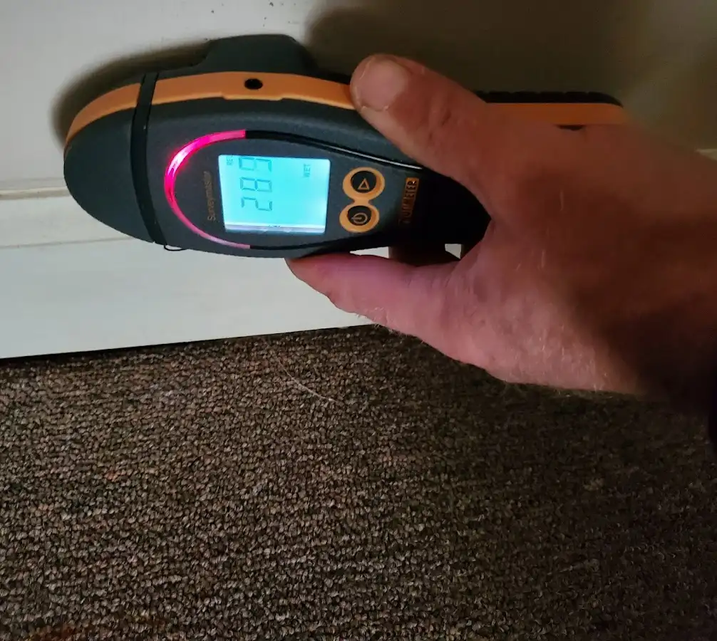 Moisture detection at baseboard during Sewage Cleanup & Sanitation in Little Chute